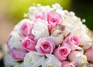 Rose Buying Tips And Offers