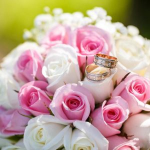 Rose Buying Tips And Offers