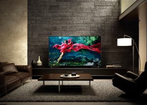 Buy The Sony Television At Best Prices Online
