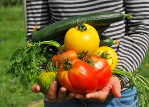 The Best Ways To Create Your Own Vegetable Garden