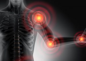 Common Sources Of Endocrine Disruption In The Body