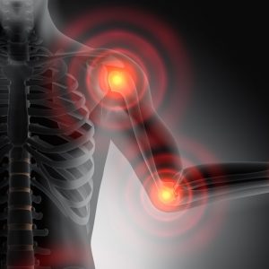 Common Sources Of Endocrine Disruption In The Body