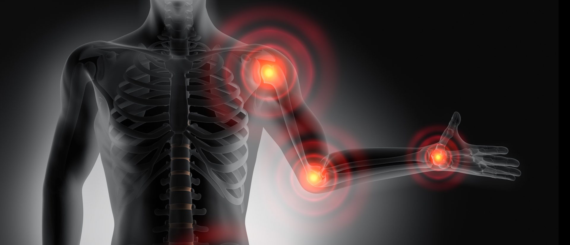 Common Sources Of Endocrine Disruption In The Body