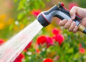 Things Necessary For Gardening